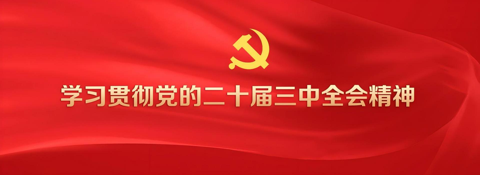 学习贯彻党的二十届三中全会精神